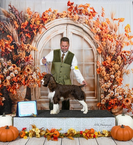 Aster Stacked International Champion